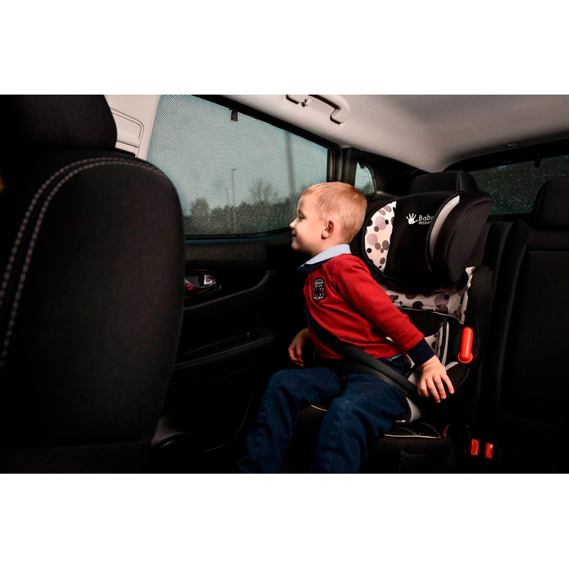 Set Car Shades  SsangYong Korando 2019- (4-delig)